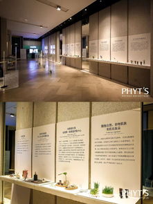 产品营销如何 走心 法国菲茨 办一场艺术展 美业美学